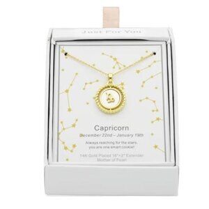 Initially Yours Zodiac CAPRICORN Pendant Necklace
